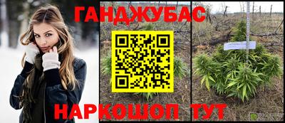 ешки Сланцы