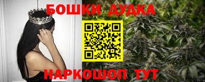 ешки Сланцы