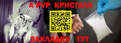 стаф Славгород