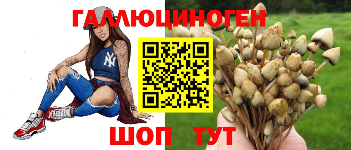 Псилоцибиновые грибы Psilocybine cubensis Печора